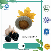 100% Natural Black Garlic Extract Powder